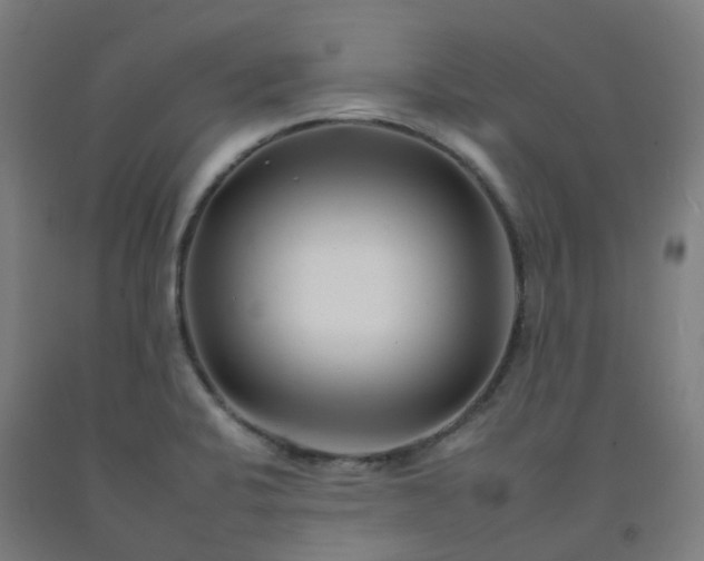 X0000092261424200709281155