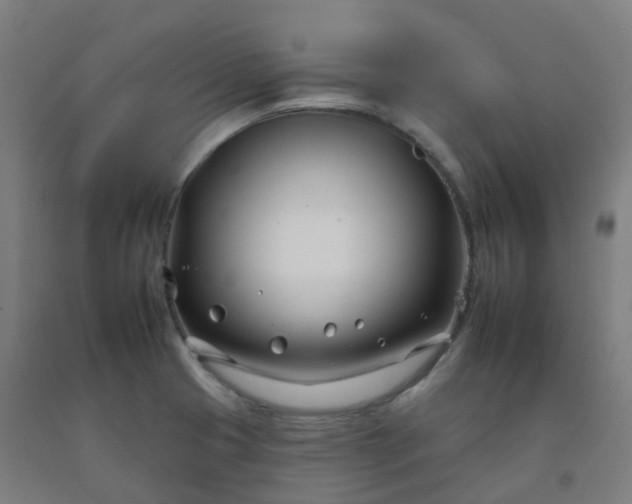 X0000092261425200709281155