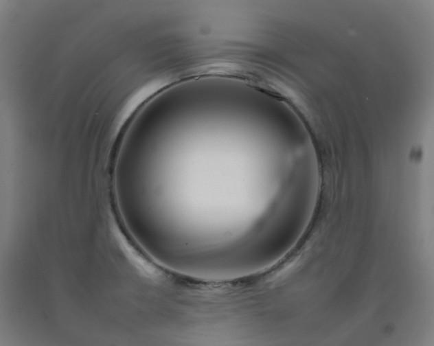 X0000092261426200709281155