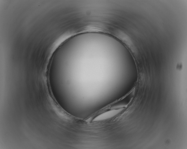 X0000092261427200709281155