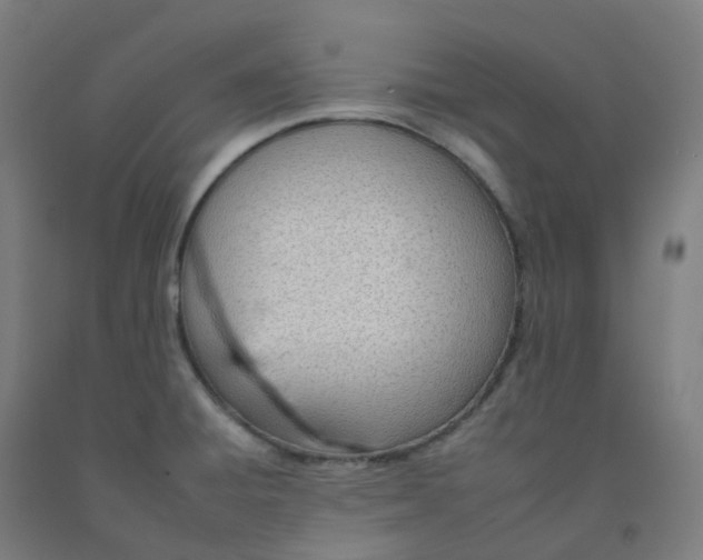 X0000092261428200709281155