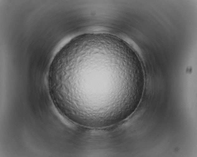 X0000092261429200709281155