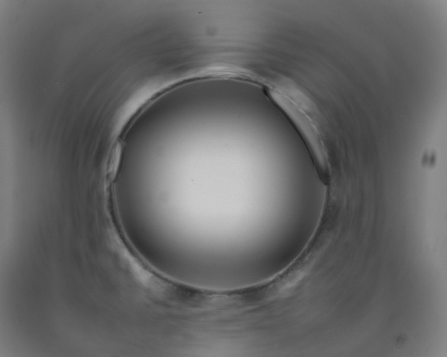 X0000092261430200709281155