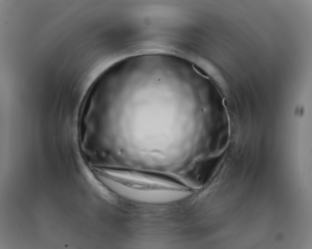 X0000092261431200709281155