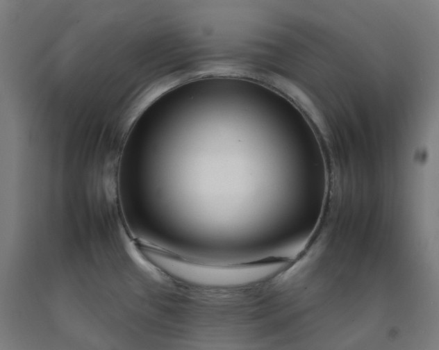 X0000092261433200709281155