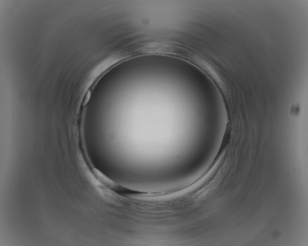 X0000092261434200709281155