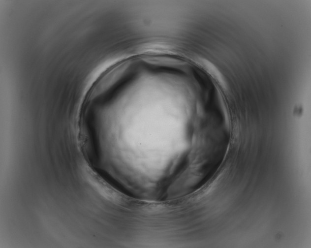 X0000092261435200709281155