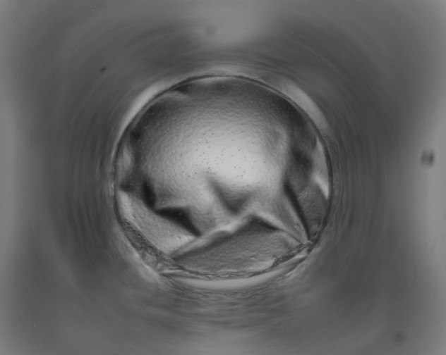 X0000092261436200709281155