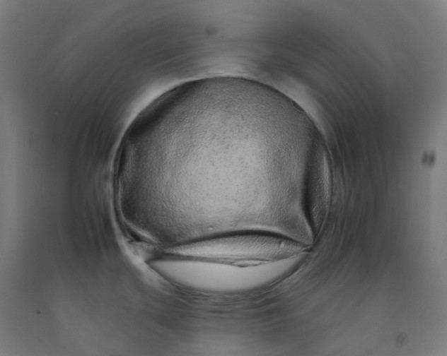 X0000092261439200709281155