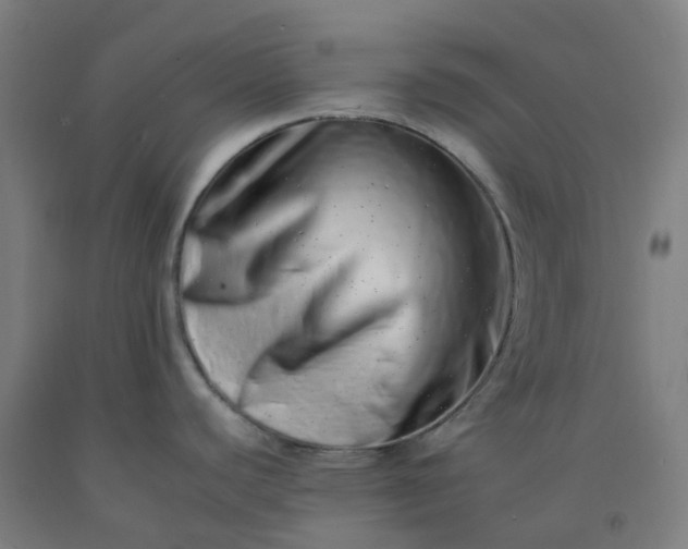 X0000092261440200709281155