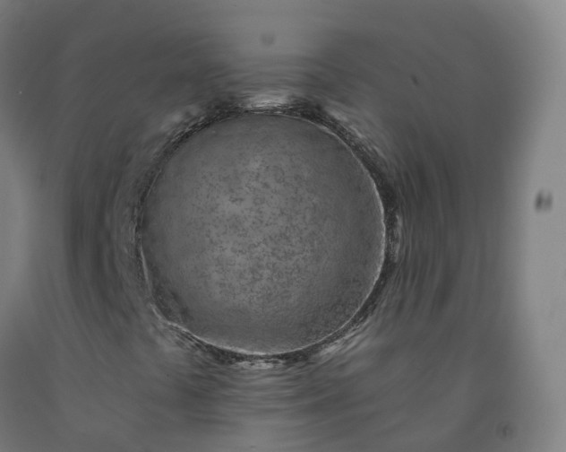 X0000092261441200709281154