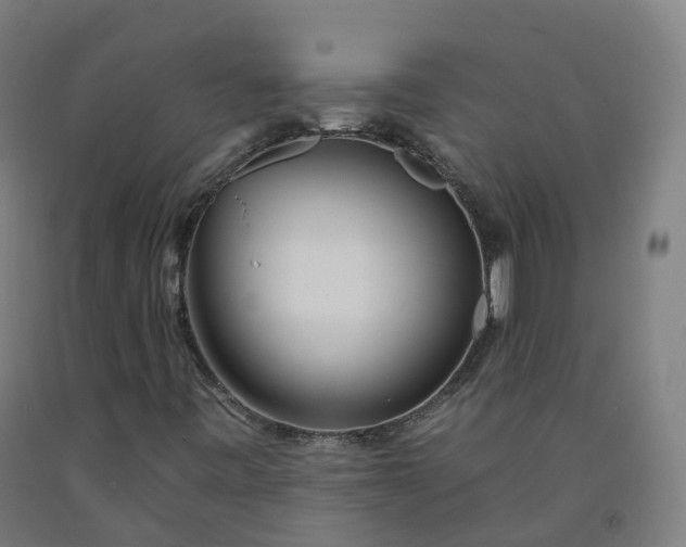 X0000092261443200709281154