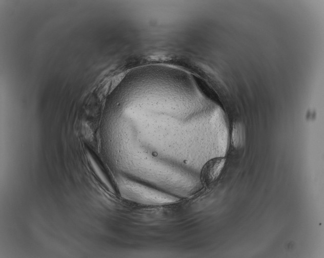 X0000092261444200709281154