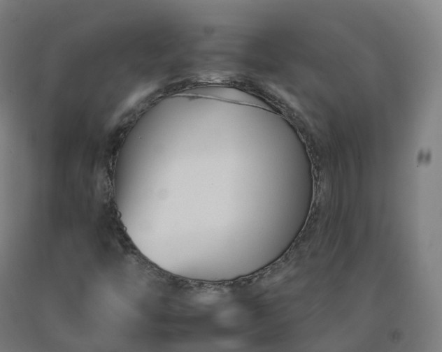 X0000092261446200709281154