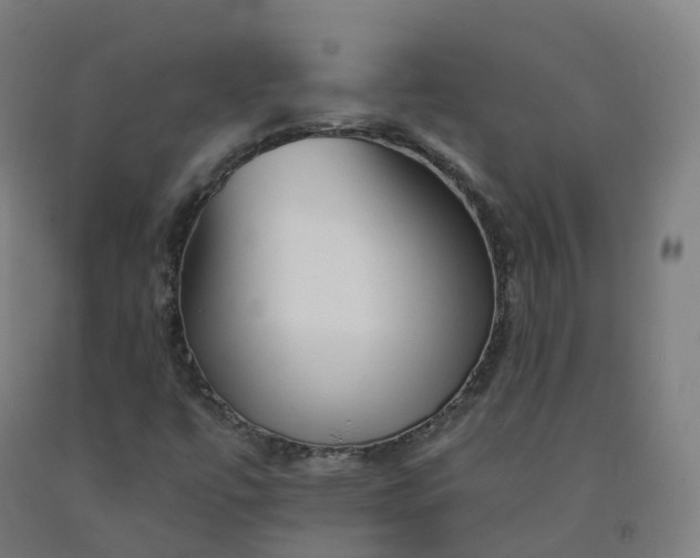 X0000092261447200709281154