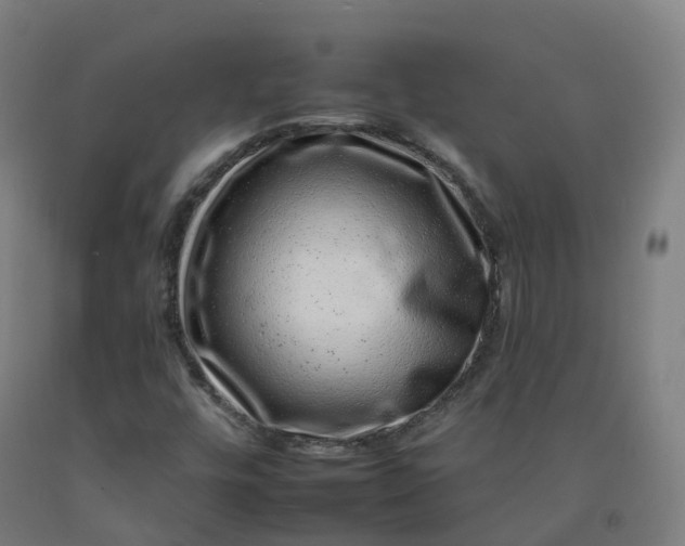 X0000092261448200709281154