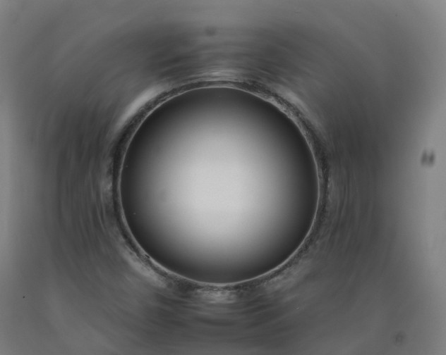 X0000092261450200709281154