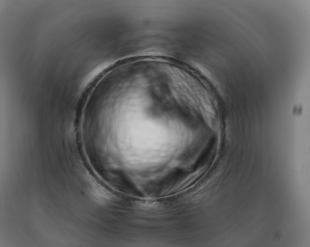 X0000092261452200709281154