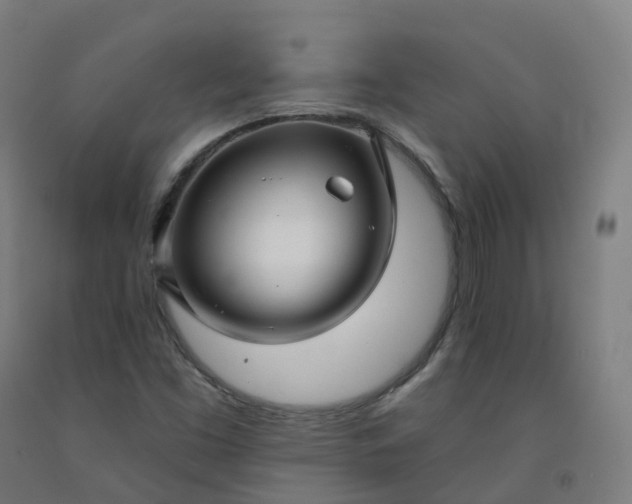 X0000092261453200709281154