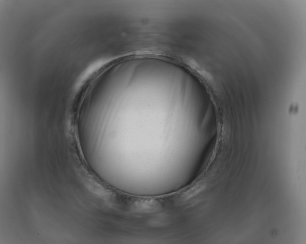 X0000092261454200709281154