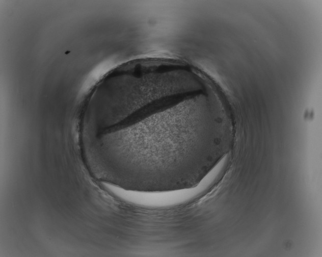 X0000092261455200709281154