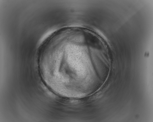 X0000092261456200709281154