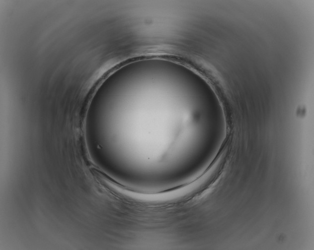 X0000092261457200709281154