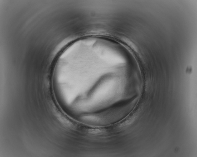 X0000092261458200709281154