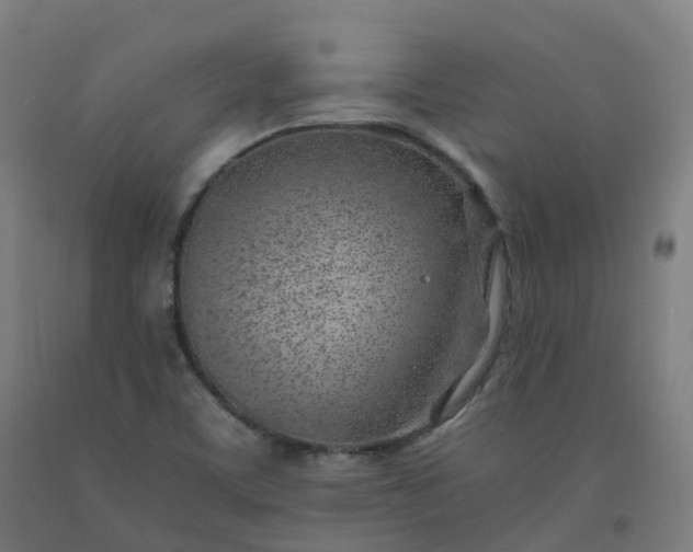 X0000092261459200709281154