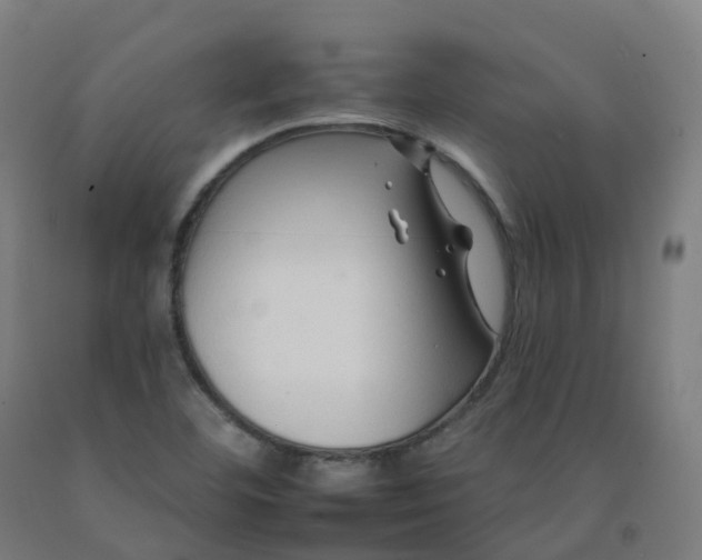 X0000092261460200709281154