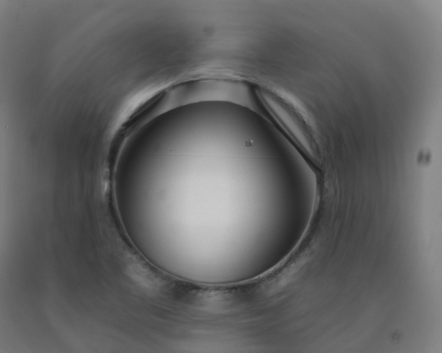 X0000092261461200709281154