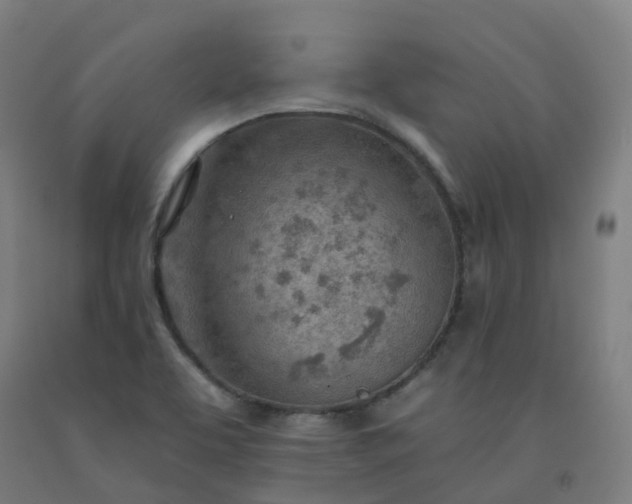 X0000092261463200709281154