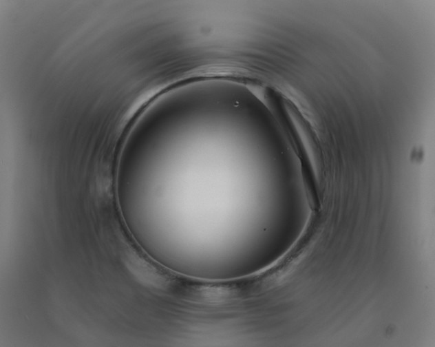 X0000092261465200709281154