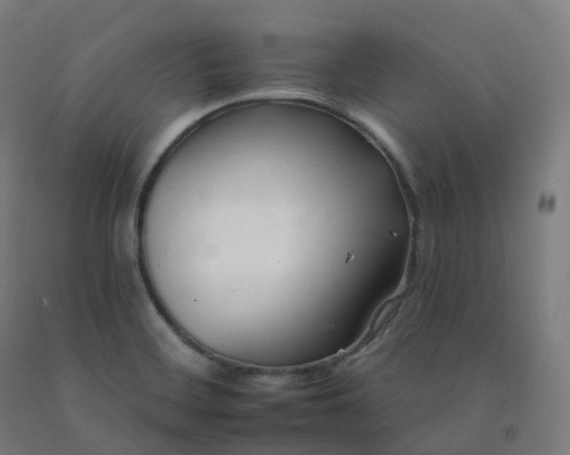 X0000092261468200709281154