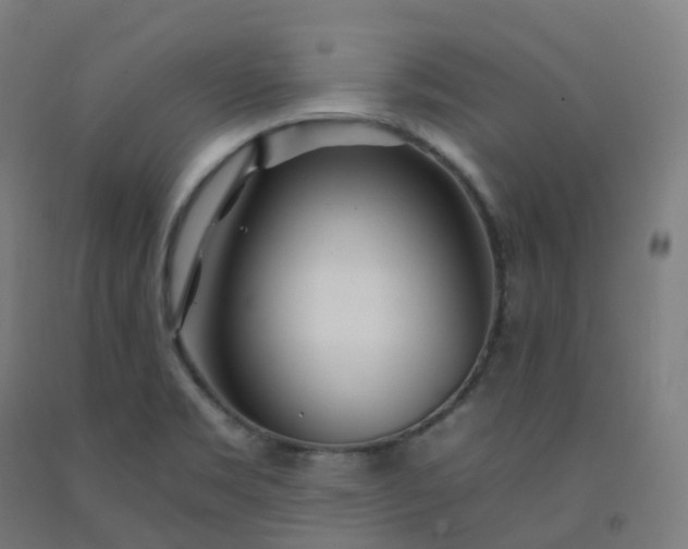 X0000092261469200709281154