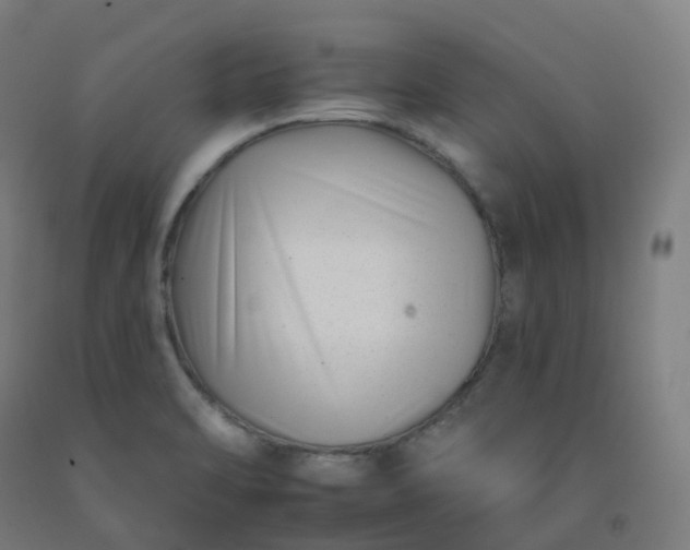 X0000092261470200709281154