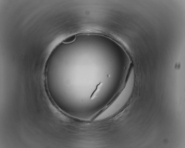 X0000092261471200709281154