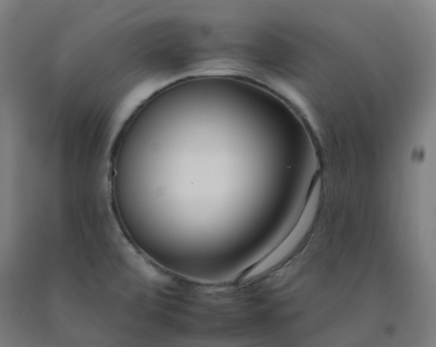 X0000092261472200709281154