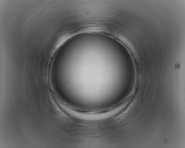 X0000092261473200709281154