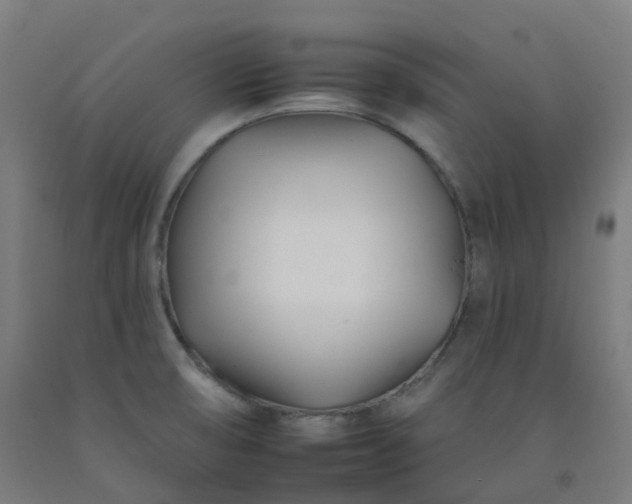 X0000092261474200709281154