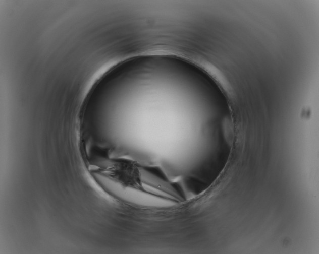 X0000092261476200709281154