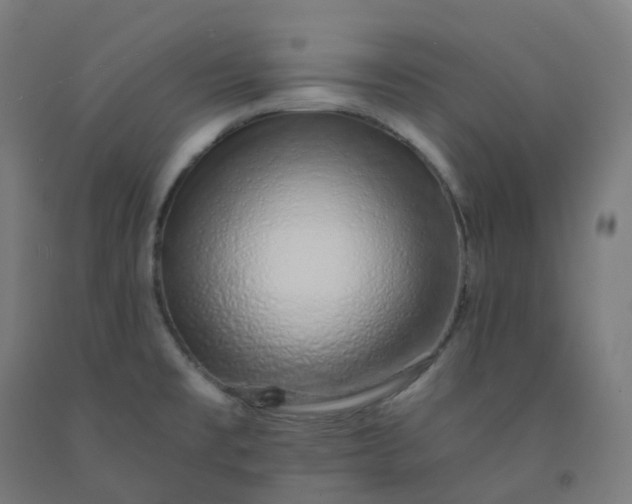 X0000092261477200709281154