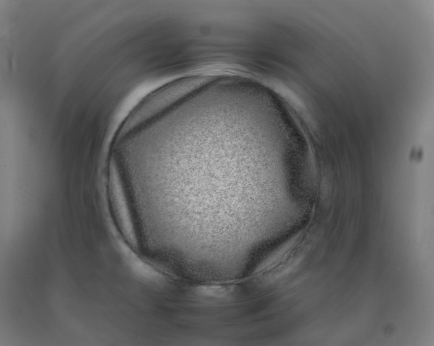 X0000092261478200709281154