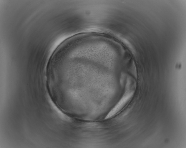 X0000092261479200709281154