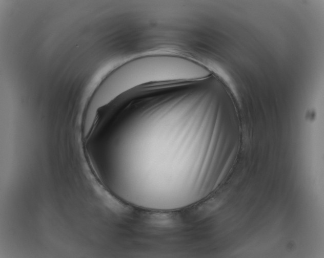 X0000092261480200709281154