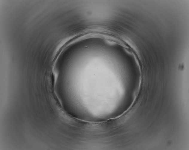 X0000092261481200709281154