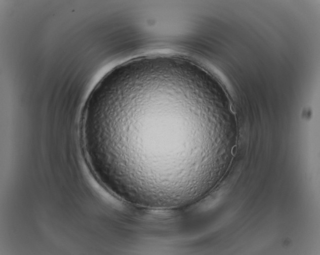 X0000092261483200709281154