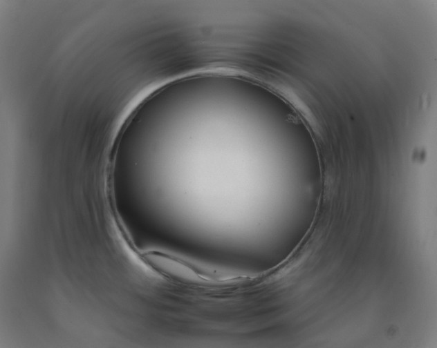 X0000092261484200709281154