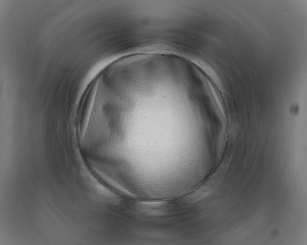 X0000092261486200709281154