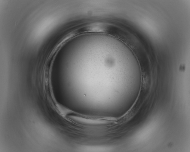 X0000092261487200709281154